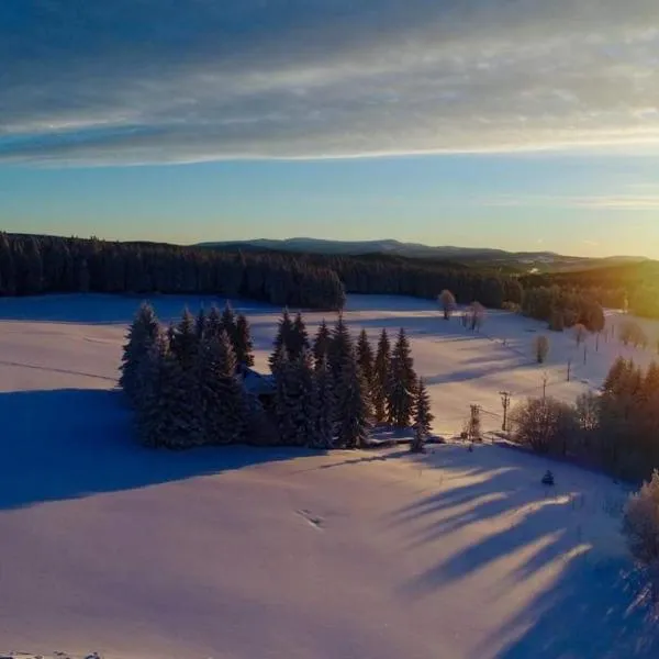 Chata Magistrála，位于贝德日霍夫的酒店