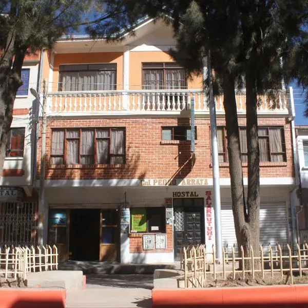 Hostal Coronel Pedro Arraya，位于图皮萨的酒店