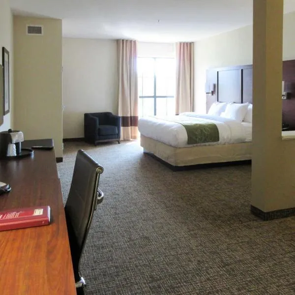 Comfort Suites Greenville South，位于Williamston的酒店