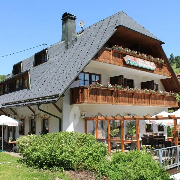 Hotel & Restaurant Grüner Baum - Die Grüne Oase Am Feldberg，位于圣布拉辛的酒店