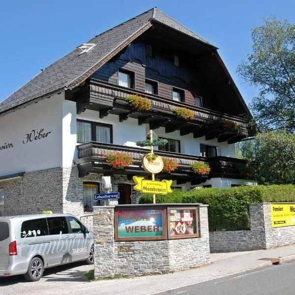 Pension Weber，位于Lessach Oberdorf的酒店