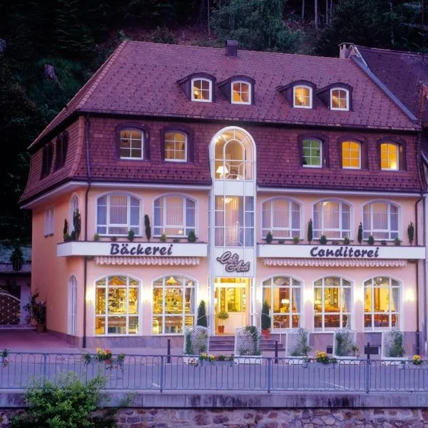 佳尔尼艾希酒店，位于Wittenschwand的酒店