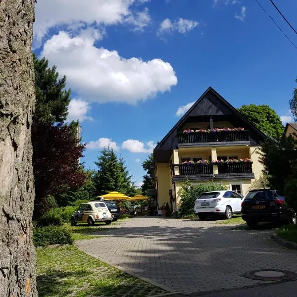 索内酒店，位于Dittmannsdorf的酒店