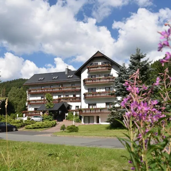 Hotel Thüringer Wald，位于伊尔梅瑙的酒店