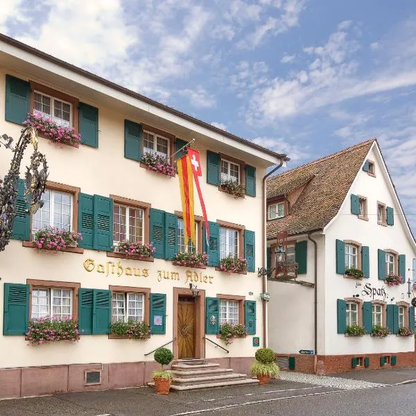 Hotel Adler - Weil am Rhein，位于莱茵河畔威尔的酒店