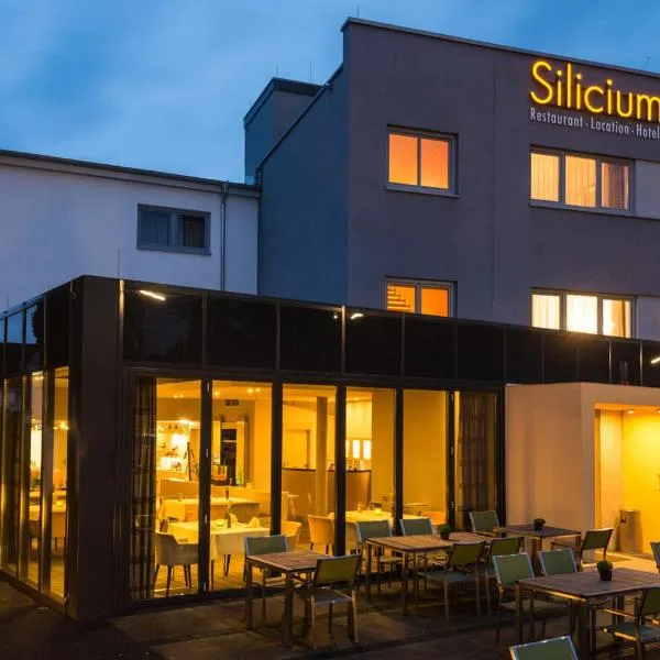 Hotel Silicium，位于Deesen的酒店