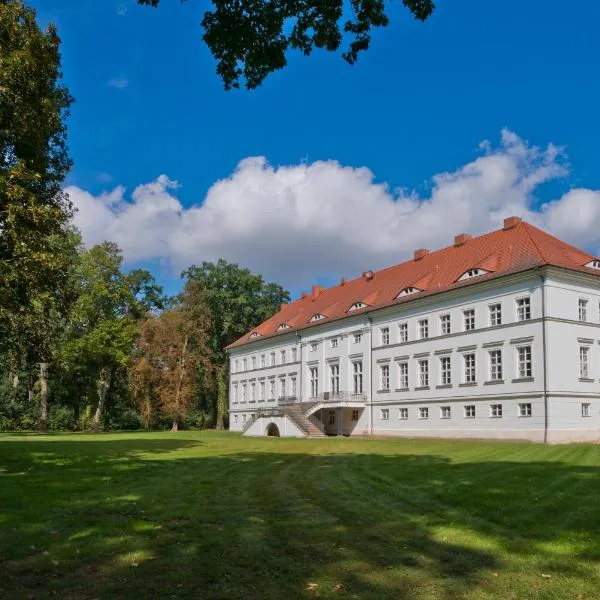 Schloss Retzow Apartments，位于Peetsch的酒店