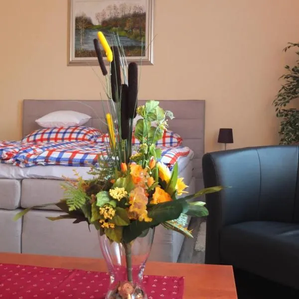 Country House Baranjski Tulipan，位于Batina的酒店