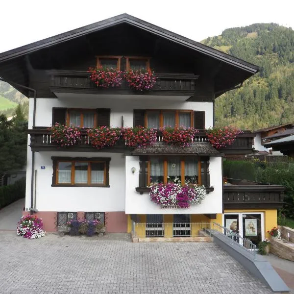 特蕾西亚旅馆，位于多弗加斯坦的酒店