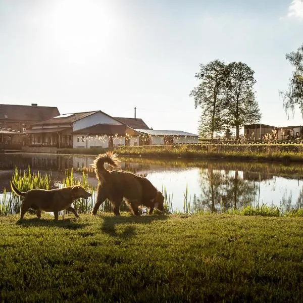 Tawerna Pod Kotwicą pokoje i domy wakacyjne，位于Kadłub Wolny的酒店