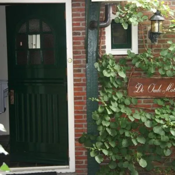B&B De Oude Molensteen，位于泽伊德拉伦的酒店