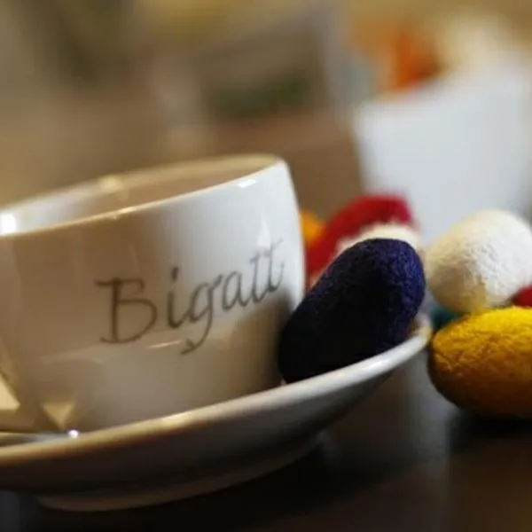 Bigatt Bed & Breakfast，位于Vanzago的酒店