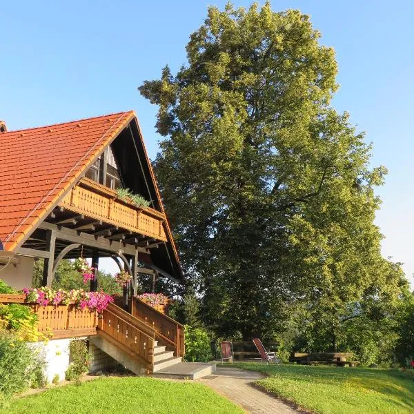 阿佩特乡间民宿，位于Šmartno pri Slovenj Gradcu的酒店