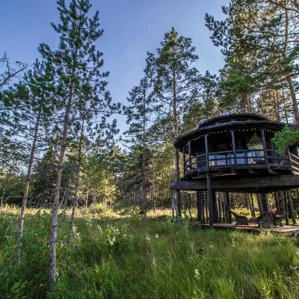 Sambliku Treehouse，位于Jõgisoo的酒店