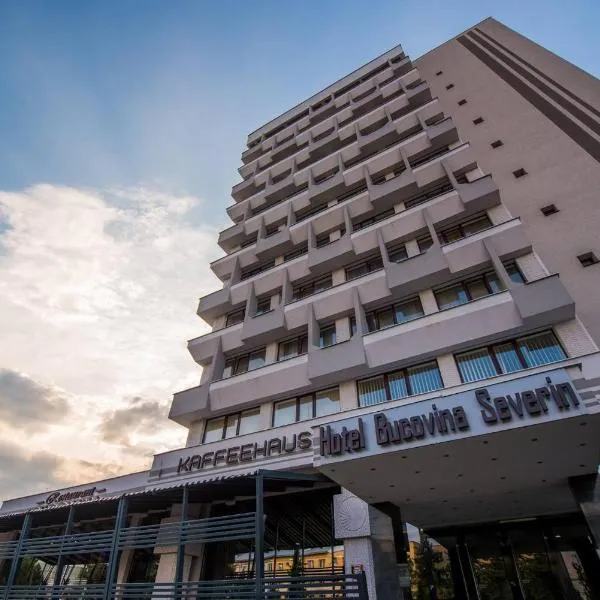 Hotel Bucovina，位于苏恰瓦的酒店