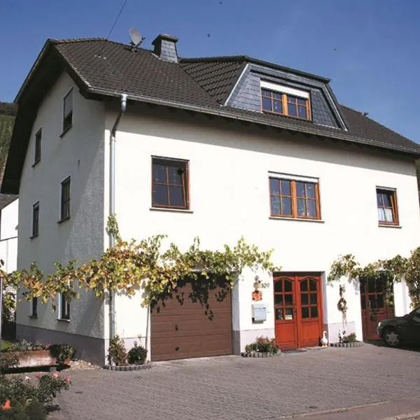 Weingut Berweiler，位于Klüsserath的酒店