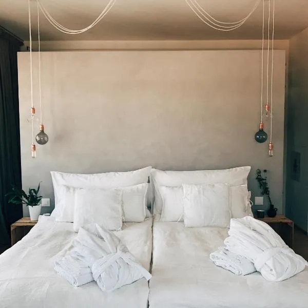 巴塞尔奥威活力城市公寓，位于巴塞尔的酒店