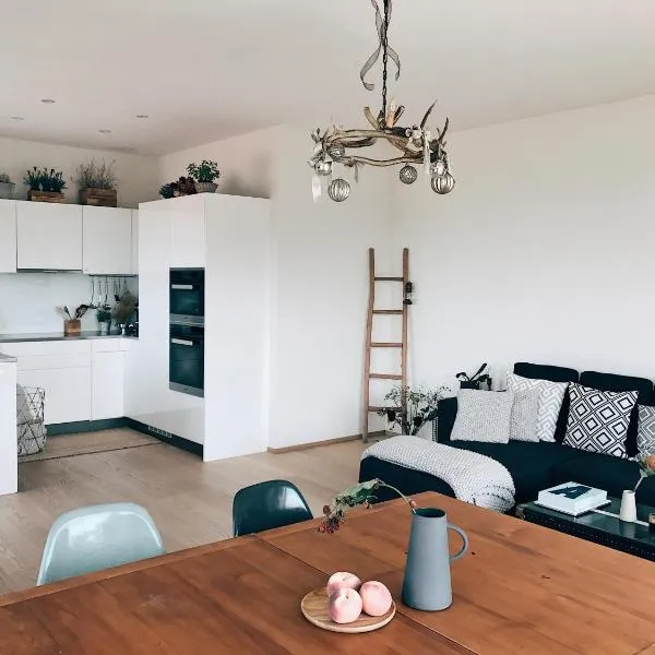 巴塞尔奥威活力城市公寓，位于巴塞尔的酒店