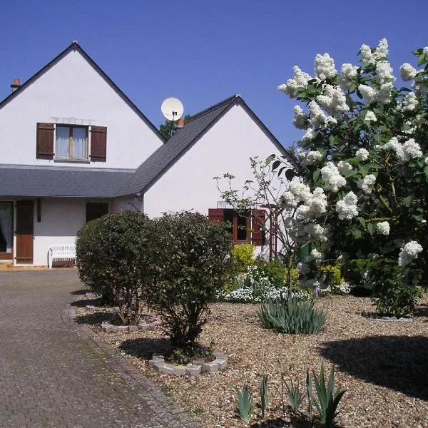 Chambres d'hôtes Les Nefliers，位于阿姆博斯的酒店