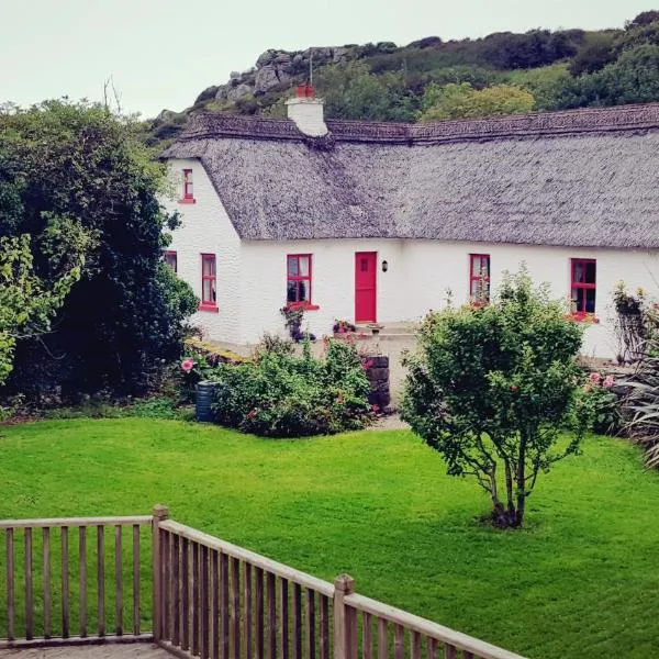 Rose Cottage，位于杜林的酒店