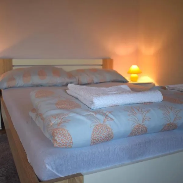 Apartment Bini，位于Palje Brdo的酒店