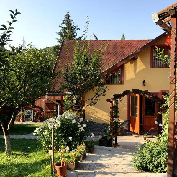 Pensiunea Gentiana，位于Bălan的酒店