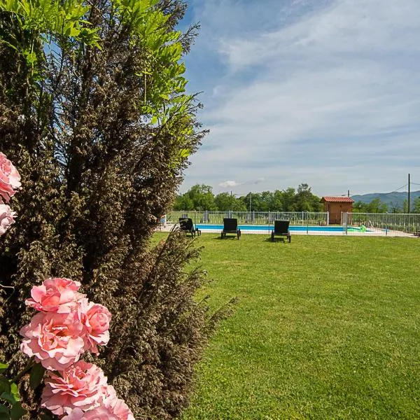 Agriturismo Il Musaccio，位于巴尔加的酒店