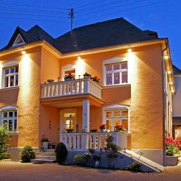 Weingut und Gästehaus Apel，位于尼特尔的酒店