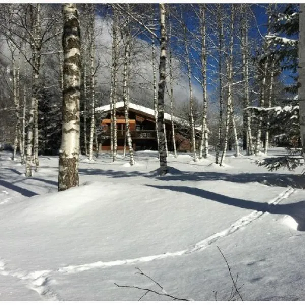 Chalet Champraz - Free Parking，位于夏蒙尼-勃朗峰的酒店