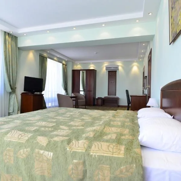 白金酒店，位于基希讷乌的酒店