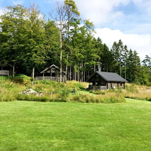 斯图拜乌拉瑞德天堂山林小屋，位于Silvergärde的酒店