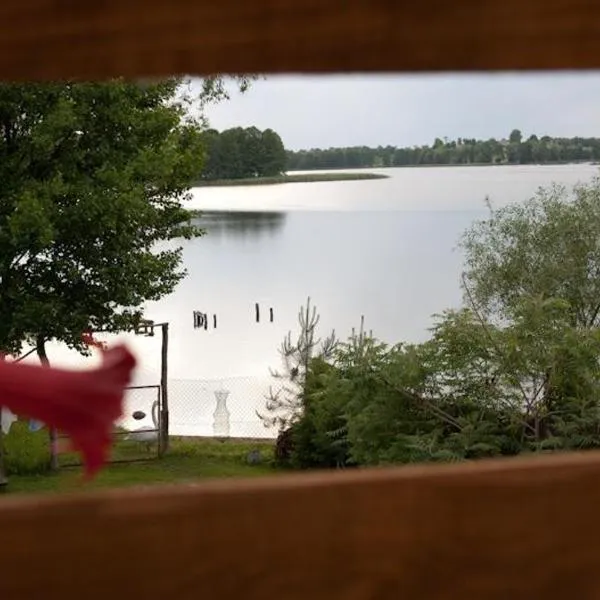 Dom Wczasowy Dogoda，位于Zełwągi的酒店