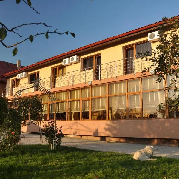 安德罗尼克酒店，位于Sânmihaiu Român的酒店