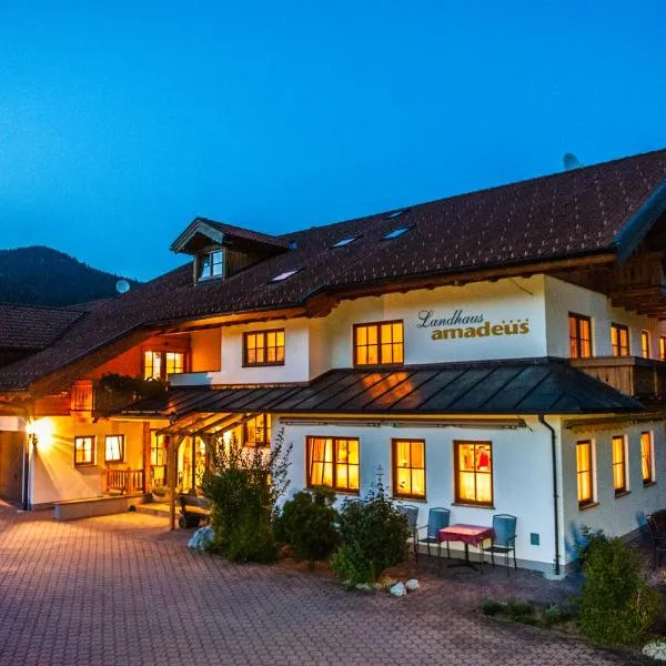 Resort Amadeus-Landhaus Amadeus，位于Gröbming的酒店