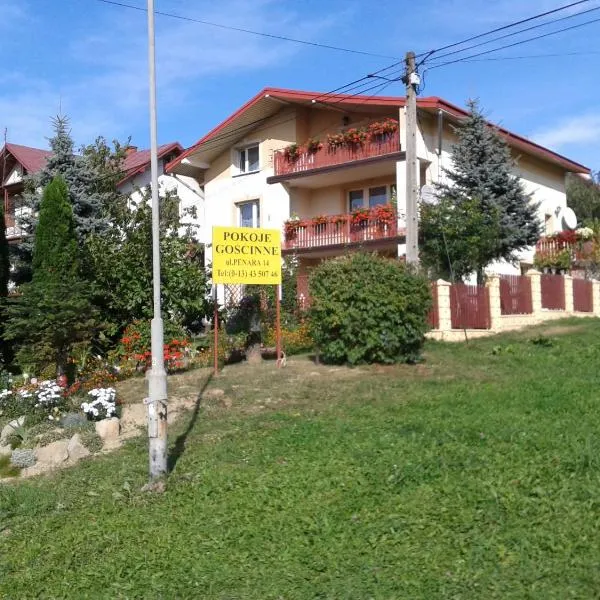 苏布家庭旅馆，位于伊沃尼奇-兹德鲁伊的酒店