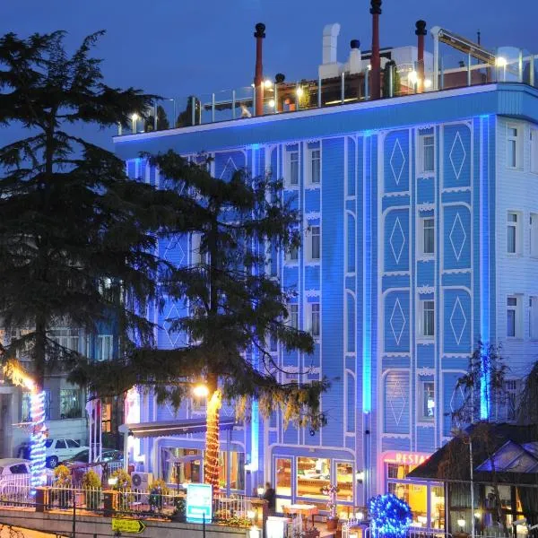 Blue House Hotel Old City - Sultanahmet，位于伊斯坦布尔的酒店