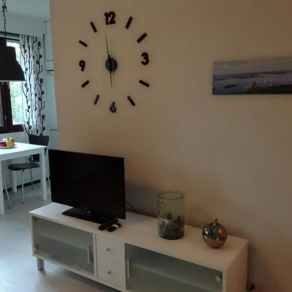 A lovely one-room apartment near the city centre.，位于瓦萨的酒店