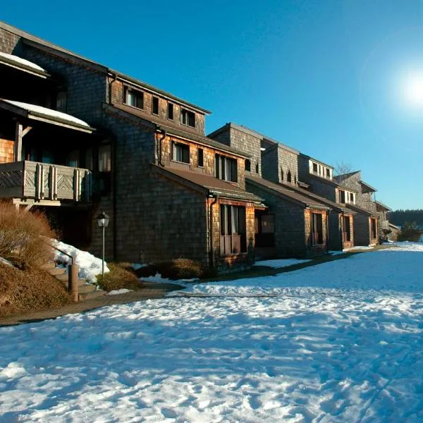 Hapimag Ferienwohnungen Unterkirnach，位于Unterkirnach的酒店