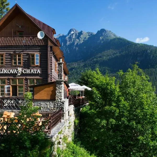 BILÍKOVA CHATA - Horský hotel，位于塔特兰斯卡波利安卡的酒店