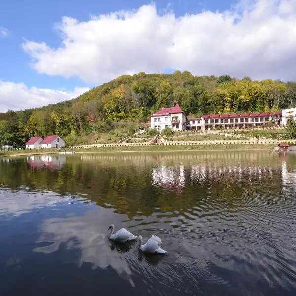 MishyN-City Hotel，位于Dobrovlyany的酒店