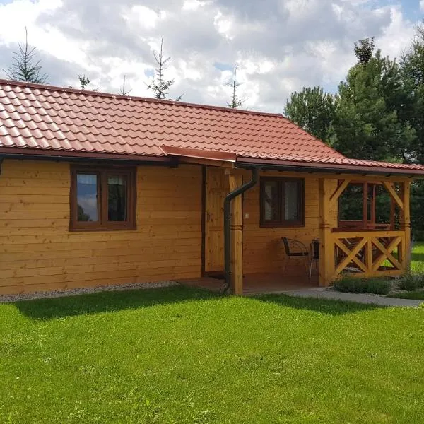 Gościniec Mazurek , Domek drewniany 1，位于吉日茨科的酒店