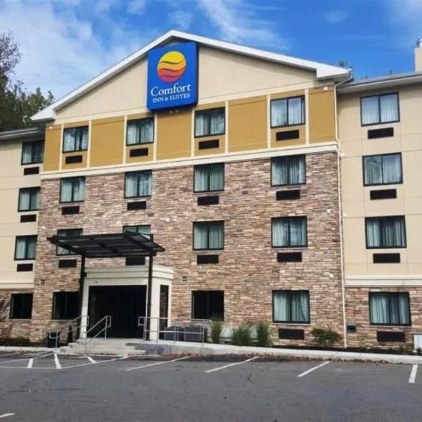 Comfort Inn & Suites Brattleboro I-91，位于布拉特尔伯勒的酒店