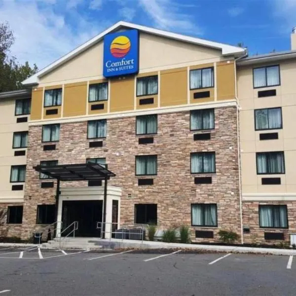 Comfort Inn & Suites Brattleboro I-91，位于Newfane的酒店