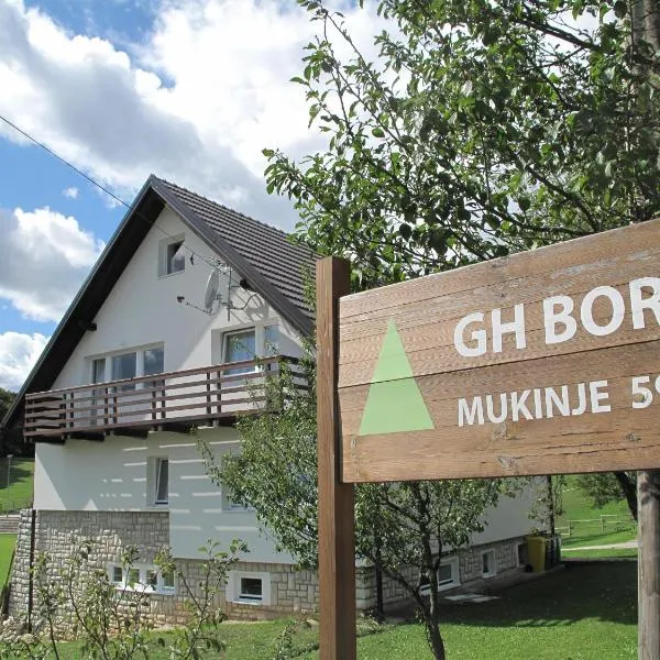 Guesthouse Bor Plitvice Lakes，位于Čujića Krčevina的酒店