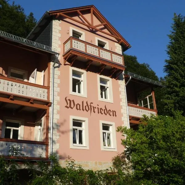 Bio-Hotel Villa Waldfrieden，位于Saupsdorf的酒店