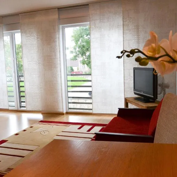 KURESSAARE TALLINN STREET APARTMENTs，位于库雷萨雷的酒店