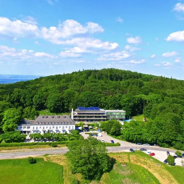 Berghotel Tulbingerkogel，位于默尔巴赫的酒店