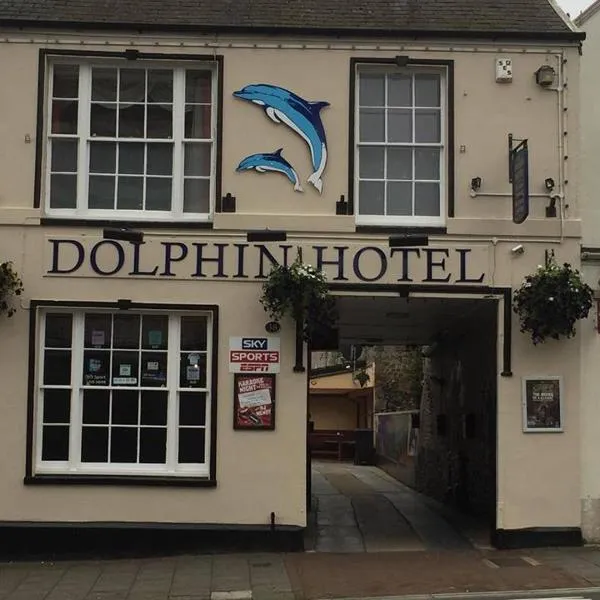 The Dolphin Hotel，位于Combe Saint Nicholas的酒店