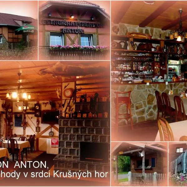 Restaurant Pension-Anton，位于亚希莫夫的酒店