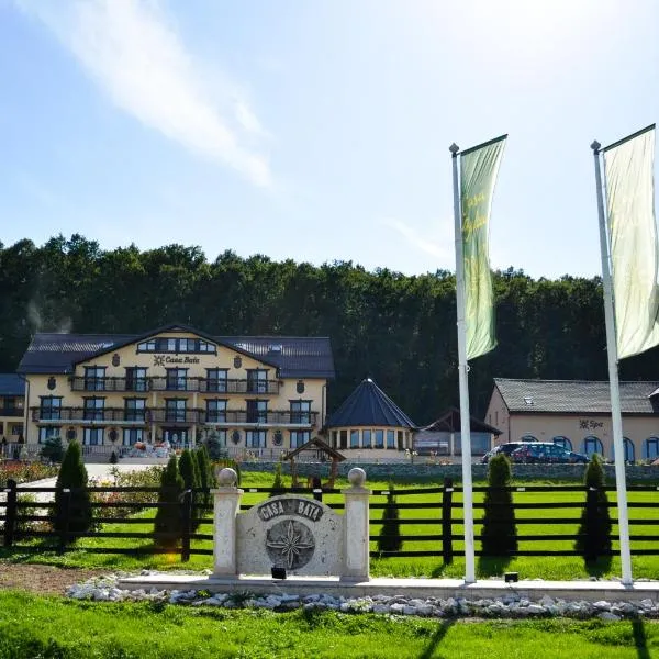 卡萨巴塔旅馆，位于Făget的酒店
